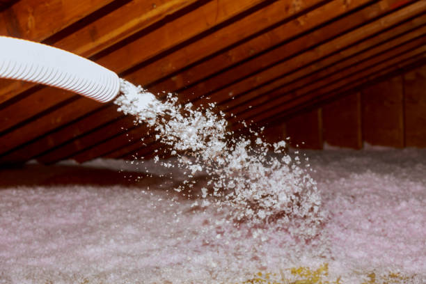 Best Insulation Maintenance and Repair in Westwood, KY